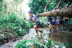 BIB: 
                            <button type="button" onclick="openModal(25468310)" class="btn btn-primary btn-sm float-right btn-popup" data-toggle="modal" data-target=".modal-high-quality">
                        <i class="fas fa-shopping-cart"></i> Add to Cart
                    </button>
                                            <button type="button" onclick="isThisMe(25468310, true)" class="btn btn-success btn-sm float-right btn-popup btn-isme hidden" data-toggle="tooltip" data-placement="bottom" title="นี่คือรูปของคุณใช่ไหม คลิกที่นี่เพื่อเอาเข้าอัลบั้ม">
                        <i class="fas fa-plus"></i> Add to album
                    </button>
                    <button type="button" onclick="isThisMe(25468310, false)" class="btn btn-warning btn-sm float-right btn-popup btn-isnotme hidden">
                        <i class="fas fa-ban"></i> Remove from album
                    </button>